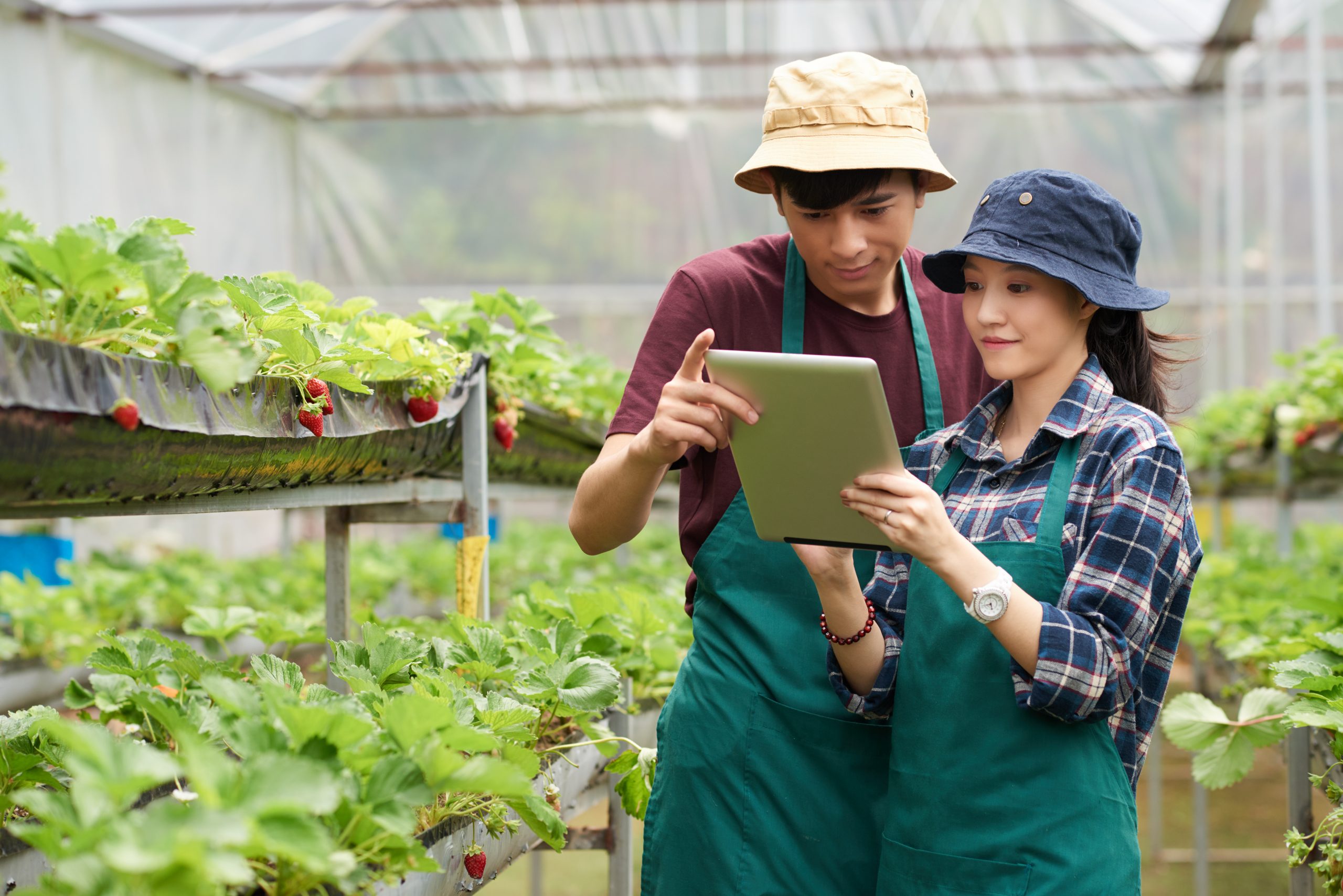 Agriculture reading. Digital Agro. Современная теплица молодые улыбка проф фото. Диджитал Агро вакансии.